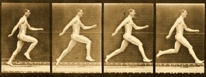 来自&39;Animal Locomotion&39;系列的图像序列，c.1887 作者 爱德沃德·迈布里奇